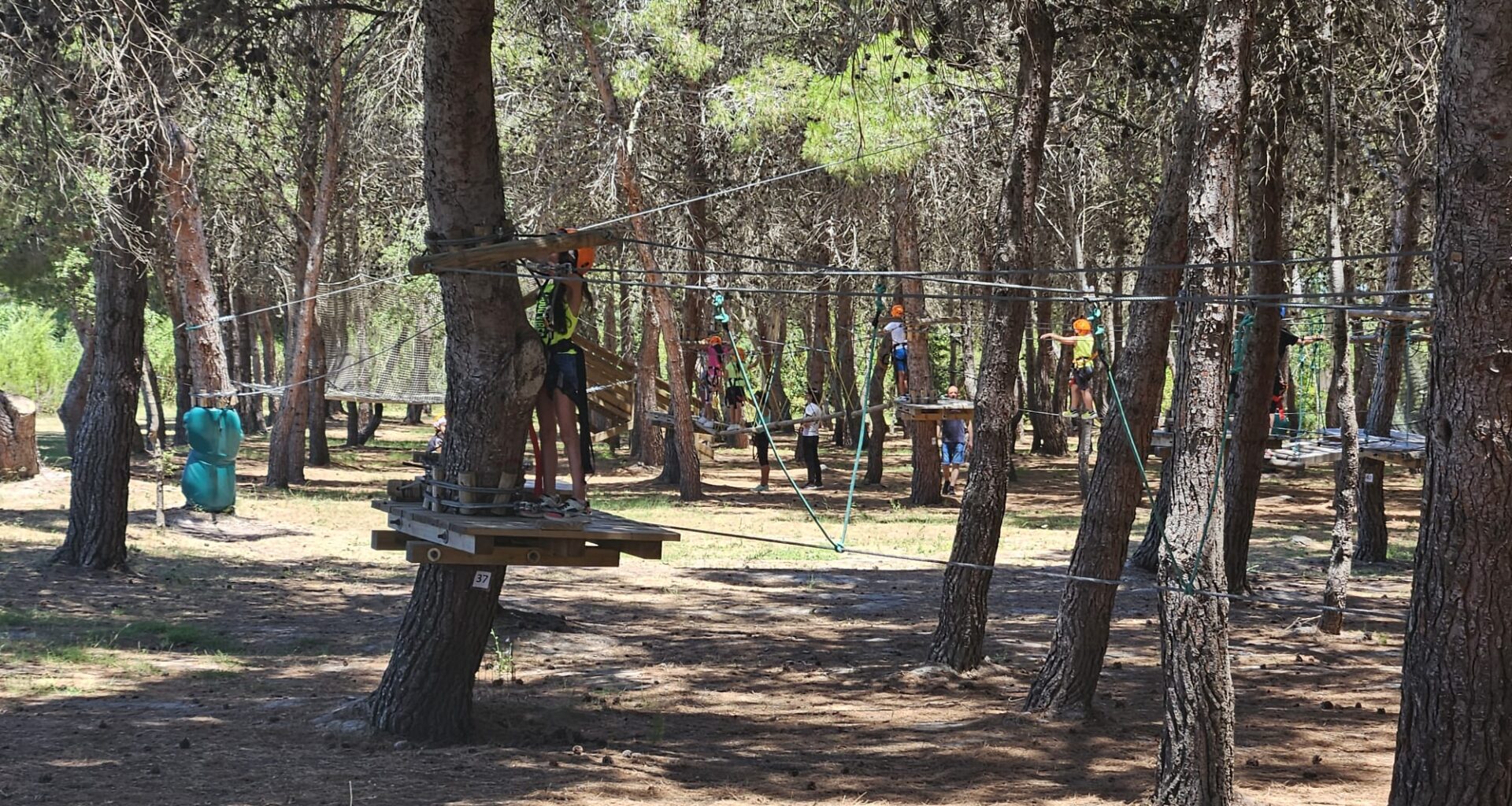 Ferragosto in volo tra i percorsi sospesi all'Ikarun Adventure Park di Nurachi. 19 e 20 agosto torneo di beach volley - Ornews