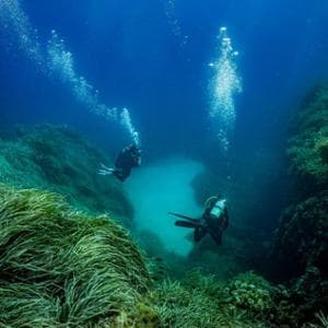 Quanto poco conosciamo gli abissi oceanici