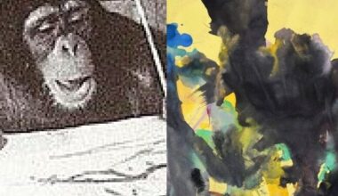 le sue opere valgono anche 25mila dollari