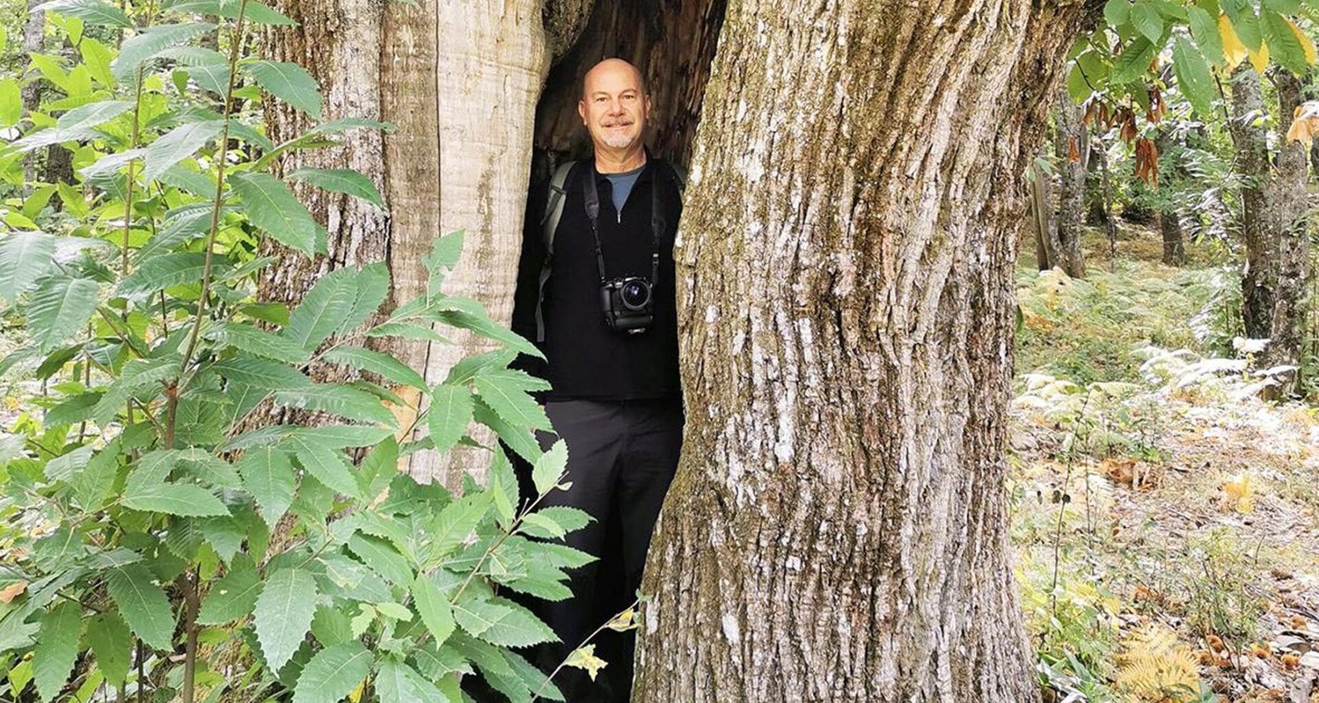 Luca Zampini, fotografo degli alberi: “Li osservo, li respiro. La loro pace ci salverà”