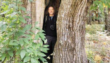 Luca Zampini, fotografo degli alberi: “Li osservo, li respiro. La loro pace ci salverà”