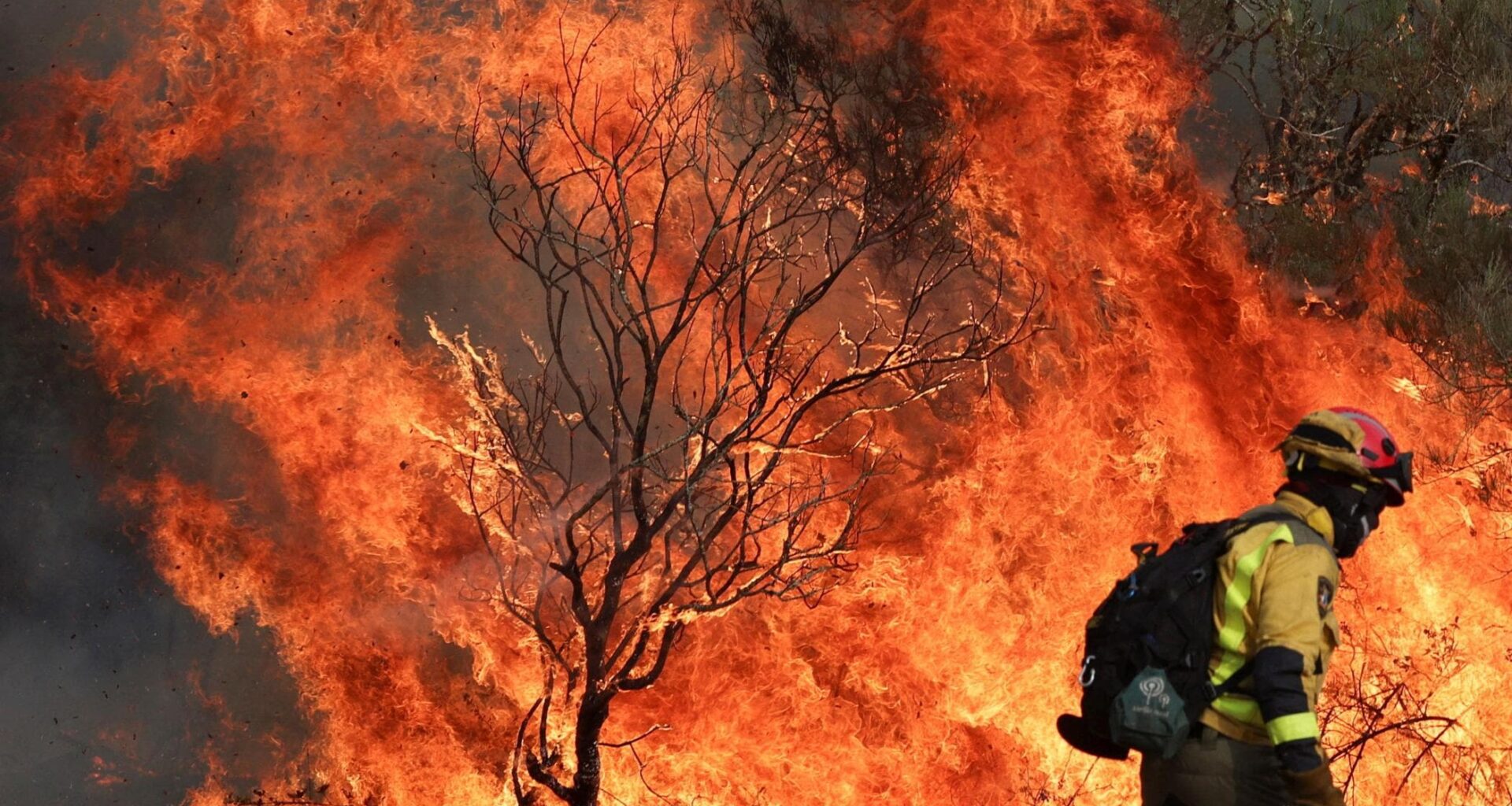 Europa in fiamme: “Incendi aumentati del 45% rispetto al 2024”. Cosa c’entra la crisi climatica - la Repubblica