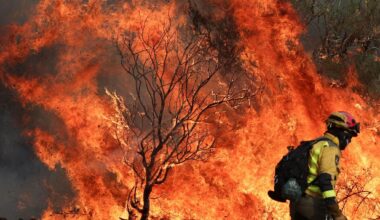Europa in fiamme: “Incendi aumentati del 45% rispetto al 2024”. Cosa c’entra la crisi climatica - la Repubblica