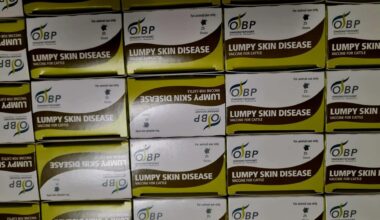 Corre la vaccinazione contro la dermatite bovina: 4.820 dosi somministrate, 9 mila entro Ferragosto