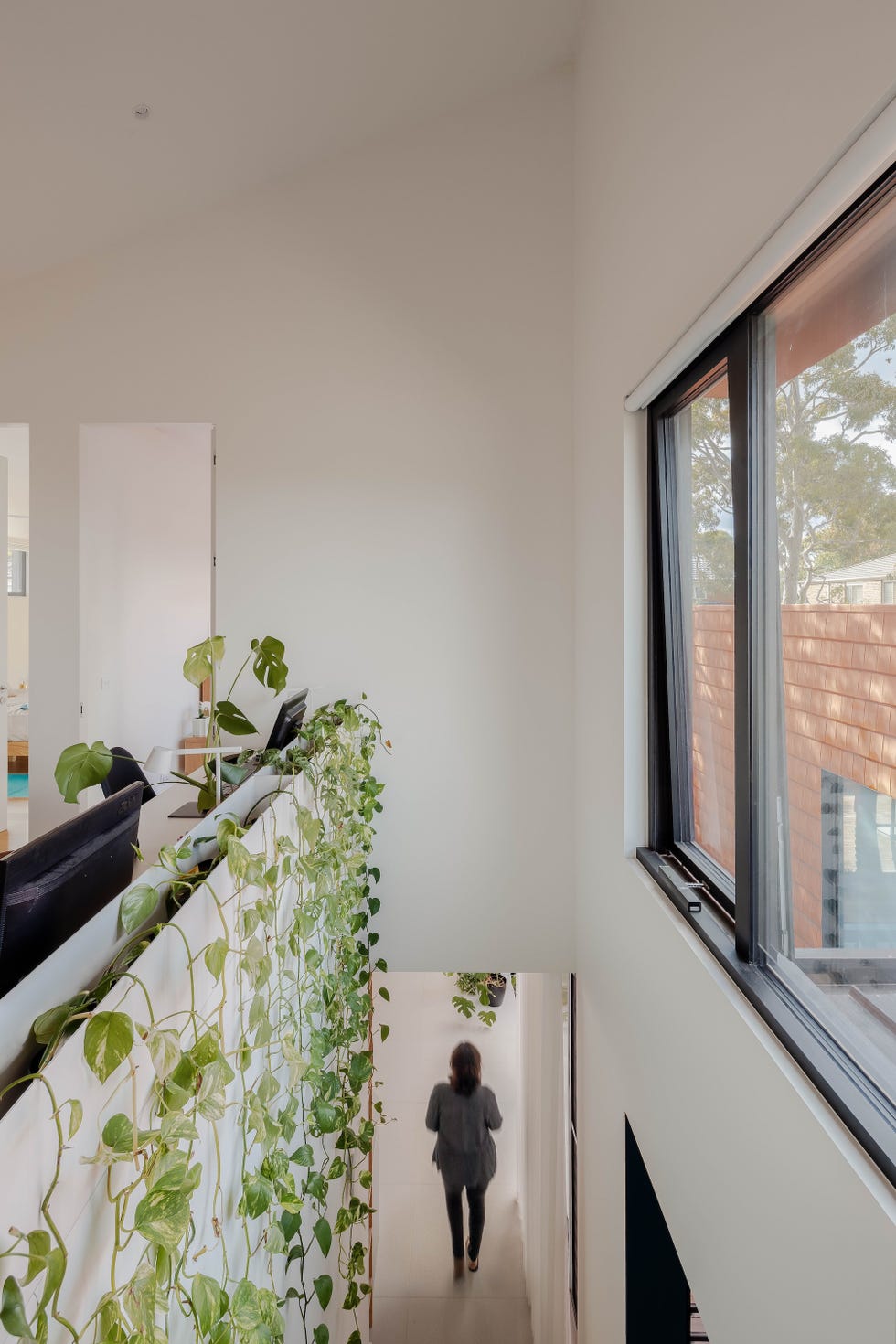 casa sostenible de arquitectos viven tres generaciones que se organizan en torno a un patio, tres arboles y una piscina