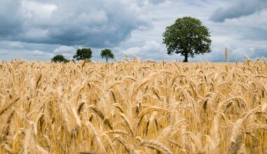 La studiosa: "Azoto, fosforo e potassio sono il sale essenziale della Terra"