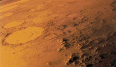 Patto Italia-Musk: così SpaceX porterà i nostri esperimenti su Marte