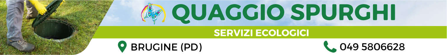 1747642165328.jpg