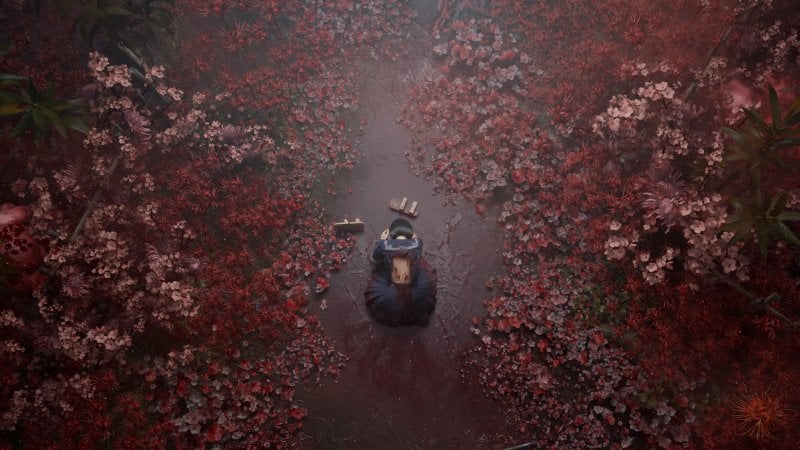 Gli higanbana, i gigli rossi, hanno una simbologia ben precisa in Silent Hill f
