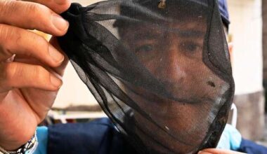 Quarta vittima nel Lazio per West Nile, morta donna 93enne - Salute e Benessere