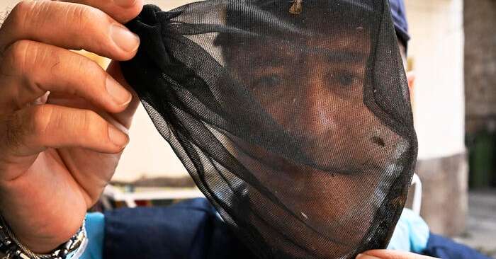 Quarta vittima nel Lazio per West Nile, morta donna 93enne - Salute e Benessere