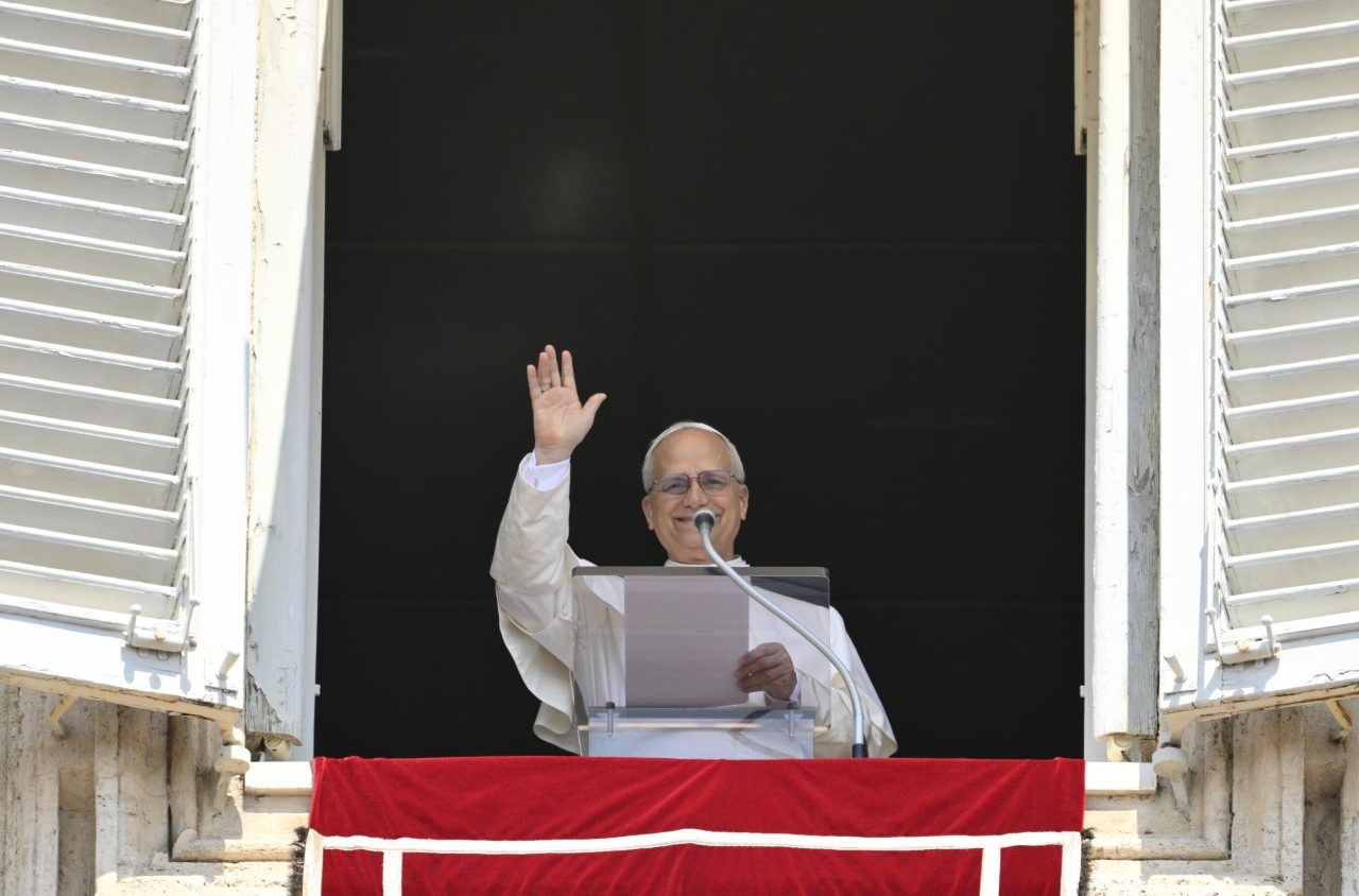 Il Papa: la vita non è un oggetto di consumo ma dono per il bene degli altri
