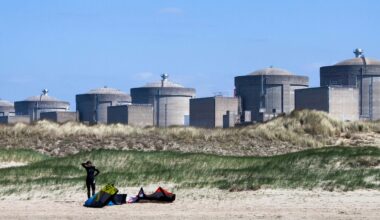 Delle meduse hanno causato lo spegnimento di una centrale nucleare in Francia