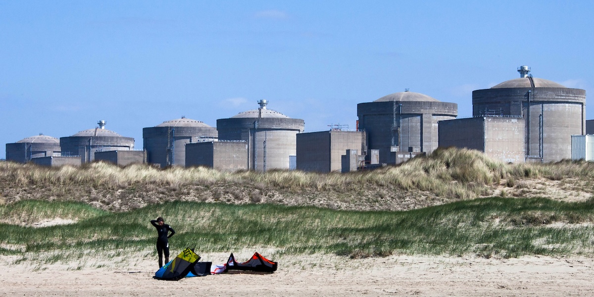 Delle meduse hanno causato lo spegnimento di una centrale nucleare in Francia