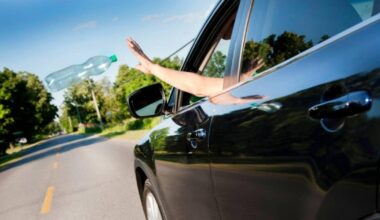 Ambiente: getti rifiuti dall'auto? Rischi anche l'arresto