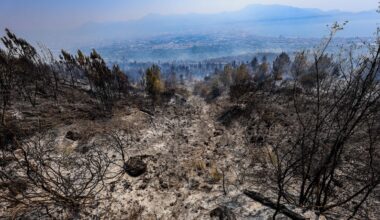L'incendio sul Vesuvio è stato spento