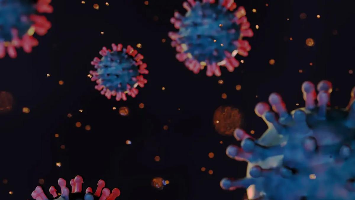 Monza, caso sospetto di Chikungunya in via San Fruttuoso: scatta il piano disinfestazione