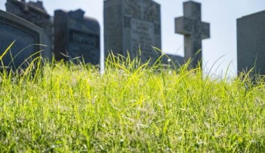 La religione green reclama i defunti. «I cari estinti? Ottimi fertilizzanti» - La Verità