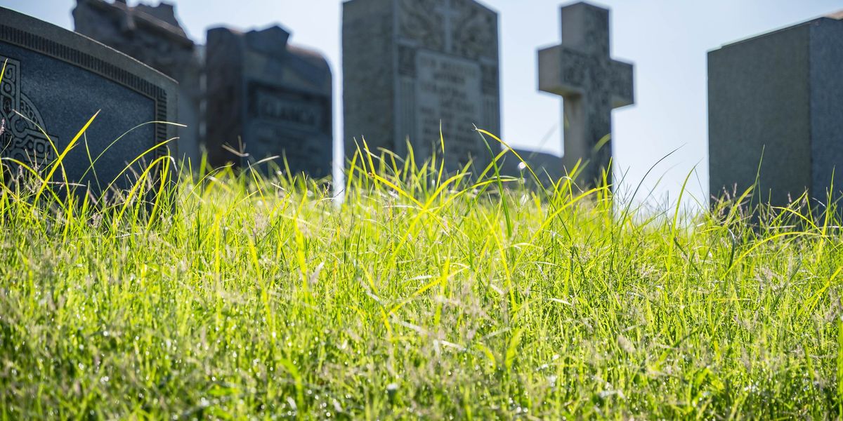 La religione green reclama i defunti. «I cari estinti? Ottimi fertilizzanti» - La Verità