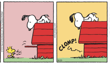 Peanuts 2025 agosto 23