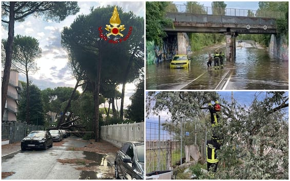 Maltempo in Romagna, allagamenti e alberi caduti a Milano Marittima e Cesenatico. FOTO - Sky TG24