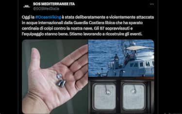 Il tweet di OceanViking