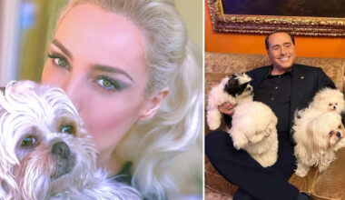 «Se imparassimo ad amare gli animali come meritano, saremmo molto vicini a Dio»