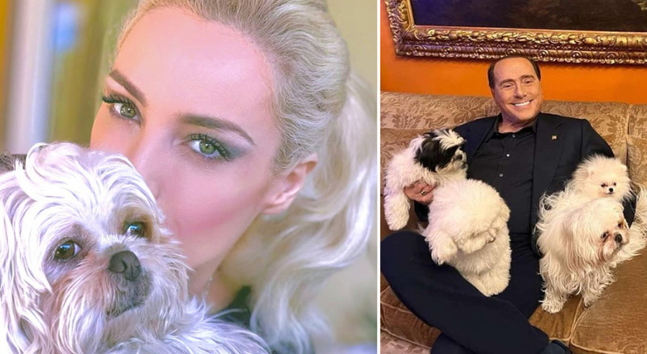 «Se imparassimo ad amare gli animali come meritano, saremmo molto vicini a Dio»