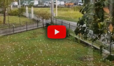 chicchi giganti tra Ivrea e Pavone! Video