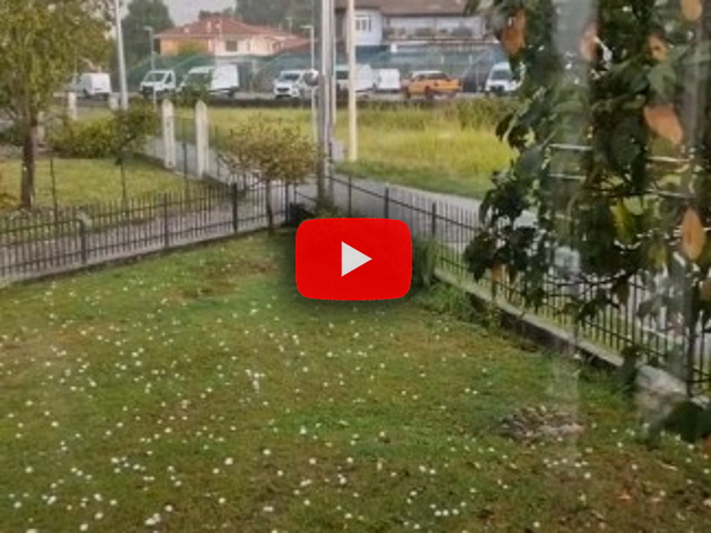 chicchi giganti tra Ivrea e Pavone! Video