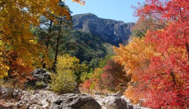 Meteo Temperature - Arriva l'autunno meteorologico ma avremo ancora valori sopra media. Mappe « 3B Meteo