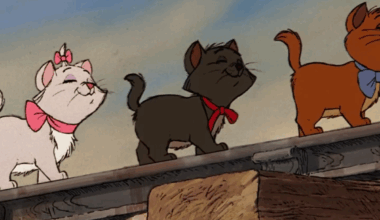Disney dice addio al woke? Cancellato il remake degli Aristogatti (e non solo)