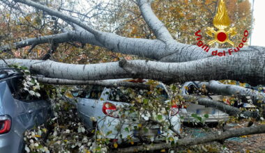 Albero colpito da un fulmine cade sull’auto. Muore un ragazzo nel Materano. Gravi altri tre