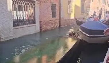 Venezia, gondola ribaltata e turisti in acqua - la Repubblica