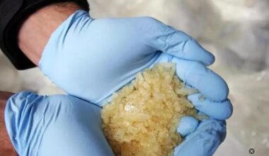Parma, quindicenne morì di overdose: quattro ventenni verso il processo