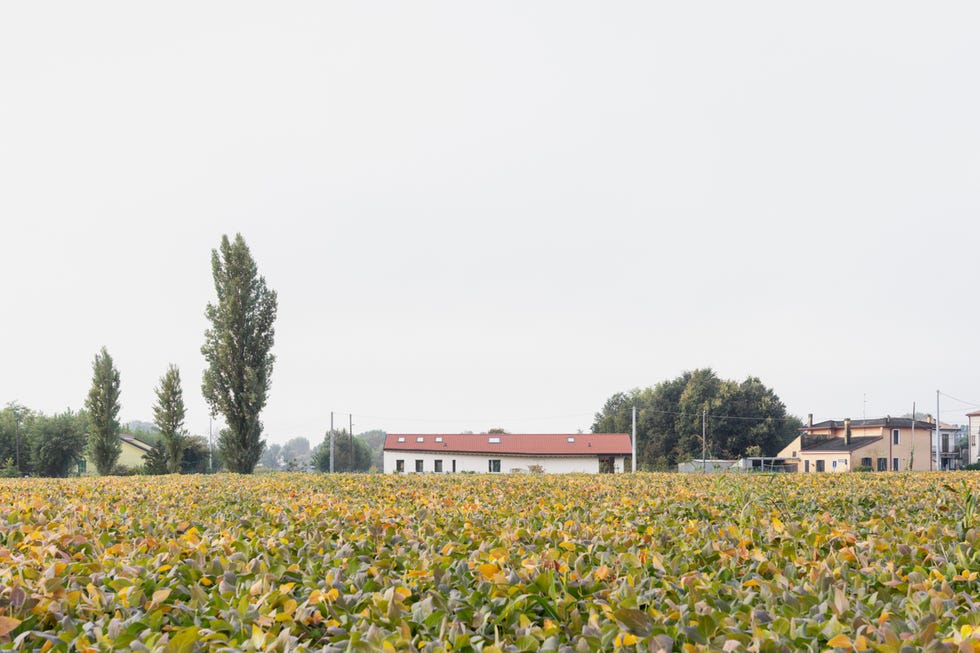 casa di campagna vicino a padova