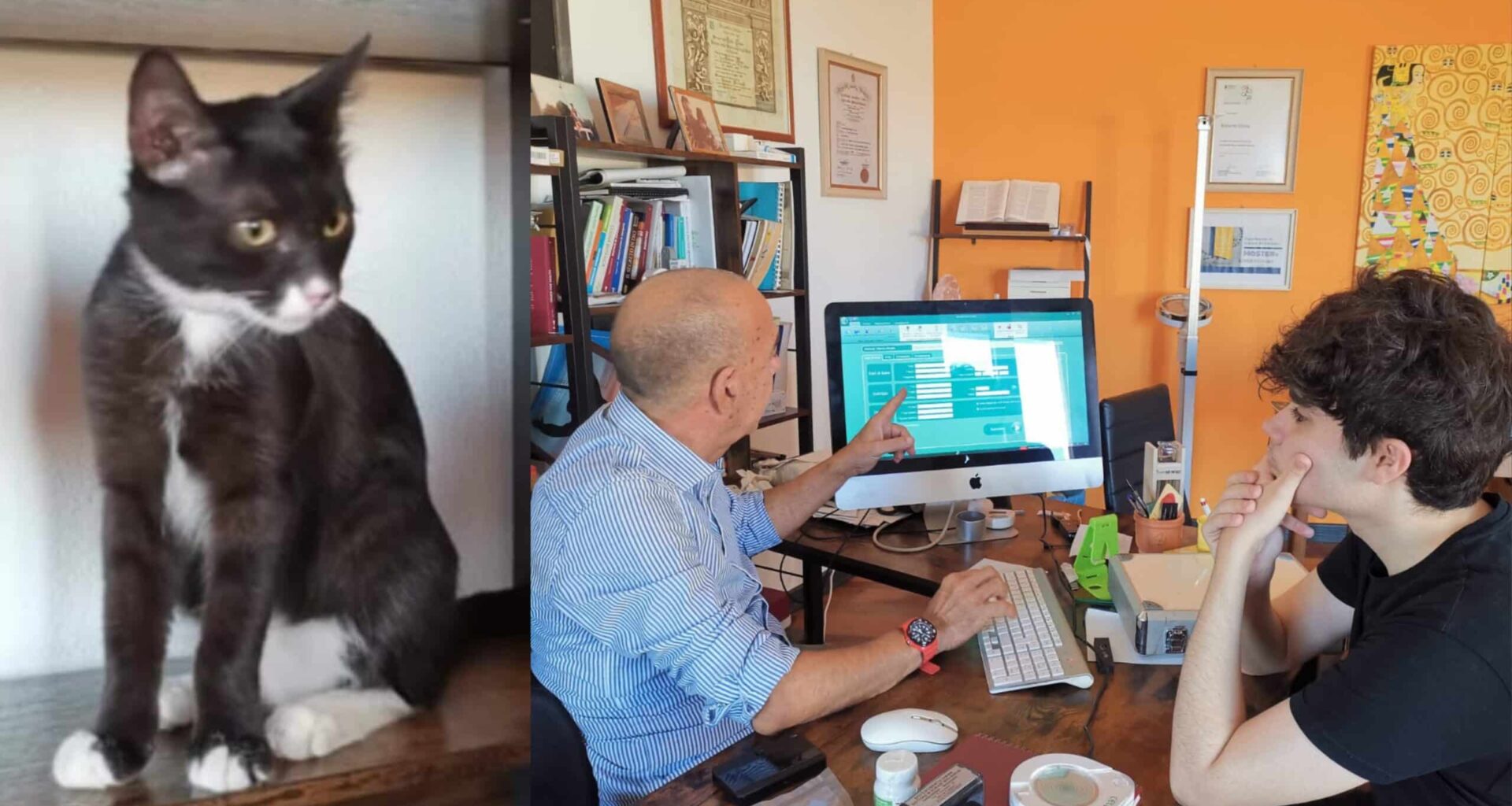 Selargius, insegnare l'alimentazione corretta anche attraverso i propri animali