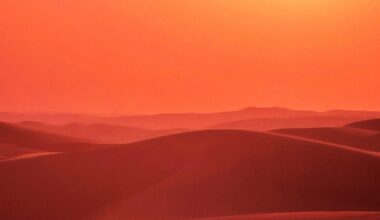 Dune - Parte Tre è girato in pellicola, a differenza dei due capitoli precedenti