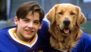 Air Bud Returns, casting aperti per il Golden Retriever protagonista: requisiti e come candidarsi