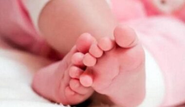 Contagi decuplicati in un anno. La pertosse torna a far paura - la Repubblica