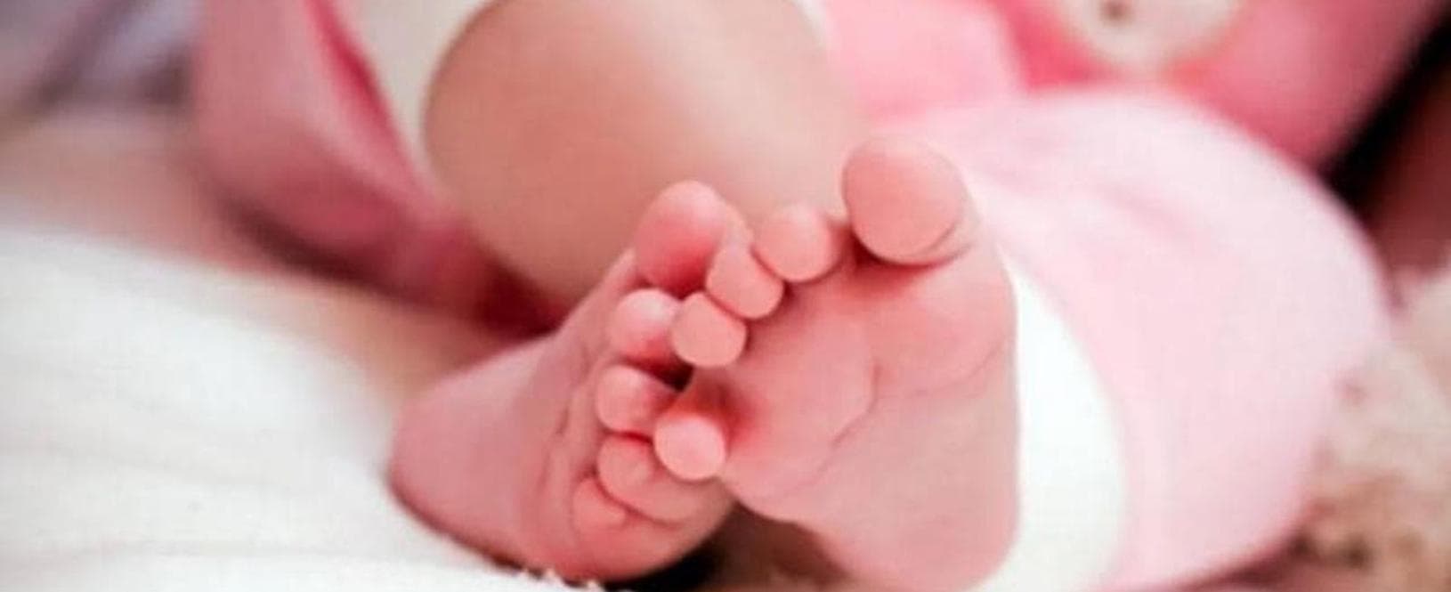 Contagi decuplicati in un anno. La pertosse torna a far paura - la Repubblica