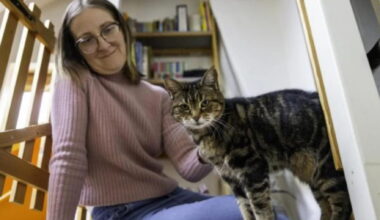 Prima la gravidanza, poi il cancro: ecco come il gatto Mitzi è diventato l’angelo custode di Georgina
