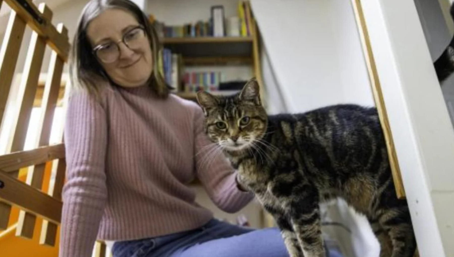 Prima la gravidanza, poi il cancro: ecco come il gatto Mitzi è diventato l’angelo custode di Georgina