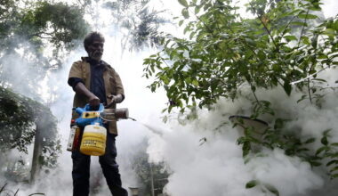 In Italia 89 casi di West Nile, in sette giorni sono più che raddoppiati - Sanità