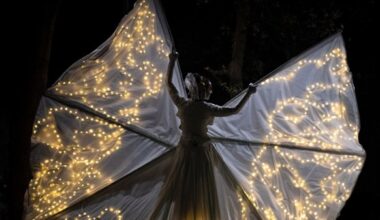 Magnago pensa già a Natale. Cercansi preventivi e sponsor per le luminarie MALPENSA24