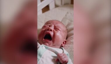Jacopo Fo lancia "Pipì, Pupù, Papà": il primo brano creato con l'IA - Spettacolo