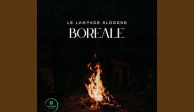 "Boreale": musica d'autore di trentenni introversi
