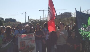Stadio della Roma, il Comune diffonde la relazione sul Bosco di Pietralata: «Scarso valore ambientale, si va avanti»