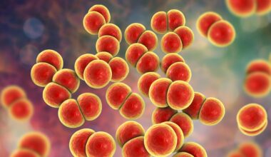 Gonorrea, primo programma di vaccinazione al mondo nel Regno Unito