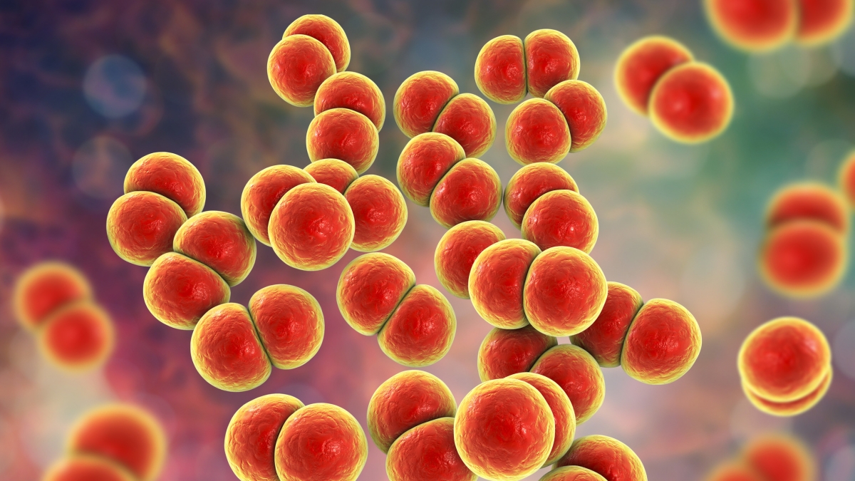 Gonorrea, primo programma di vaccinazione al mondo nel Regno Unito